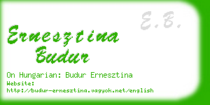 ernesztina budur business card